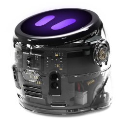 Kit de start Ozobot Ari