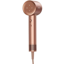 Dreame Glory - trandafir