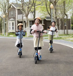 Segway eKickScooter Ninebot C2 Lite