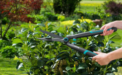 Trimmer manual pentru gard viu EasyCut GARDENA