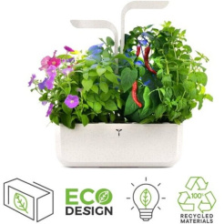 Véritable CLASSIC - alb + 4 umpluturi cu ierburi