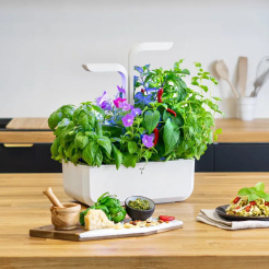 Véritable CLASSIC - alb + 4 umpluturi cu ierburi