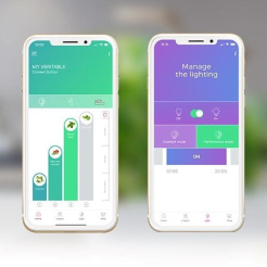 Véritable CONNECT - alb/champagne + 4 rezerve de plante