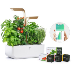  Véritable CONNECT - alb/champagne + 4 rezerve de plante 