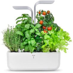 Véritable SMART cu control al luminii - alb + 4 rezerve de plante