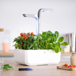 Véritable SMART cu control al luminii - alb + 4 rezerve de plante