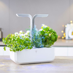 Véritable SMART cu control al luminii - alb + 4 rezerve de plante