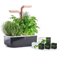 Véritable SMART cu control al luminii - negru + 4 rezerve de plante