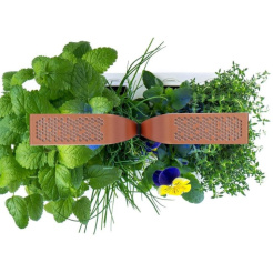 Véritable SMART cu control al luminii - negru + 4 rezerve de plante