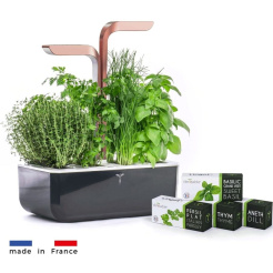  Véritable SMART cu control al luminii - negru + 4 rezerve de plante 