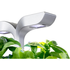 Véritable Exky CLASSIC - alb + 2 umpluturi cu ierburi