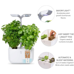 Véritable Exky CLASSIC - alb + 2 umpluturi cu ierburi