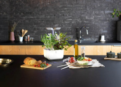 Véritable Exky CLASSIC - alb + 2 umpluturi cu ierburi