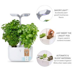 Véritable Exky SMART - alb + 2 rezerve de plante