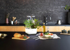 Véritable Exky SMART - alb + 2 rezerve de plante