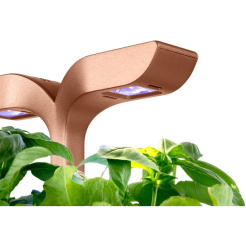 Véritable Exky SMART - negru + 2 rezerve de plante