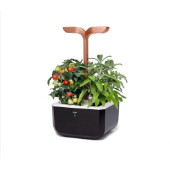 Véritable Exky SMART - negru + 2 rezerve de plante