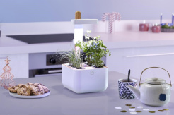 Véritable Botaneo + 2 umpluturi cu ierburi