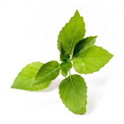 Véritable Lingot Busuioc cu lămâie - Organic