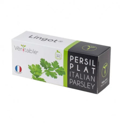 Véritable Lingot Pătrunjel italian - BIO 