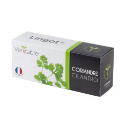 Coriandru Véritable Lingot 