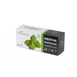 Véritable Lingot Mentă marocană - BIO