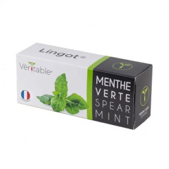 Lingot mentă verde