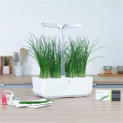 Veritable Lingot Arpagic - Organic