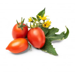 Véritable Lingot Roșii roșii mini