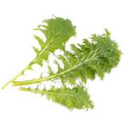 Véritable Lingot Muștar Wasabi - BIO