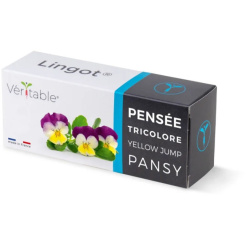 Véritable Lingot Pansy