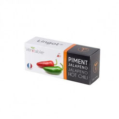 Véritable Lingot Ardei iute Jalapeño
