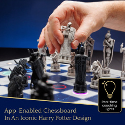 Particula GoChess Mini, ediția Harry Potter