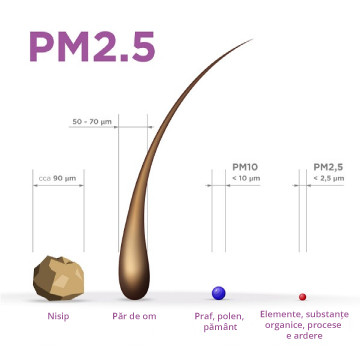Ce este PM2.5?