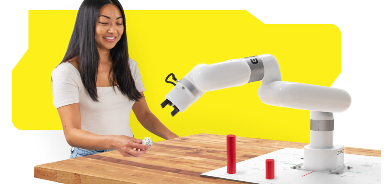 Învățați și distrați-vă în același timp cu numeroasele opțiuni de activități de programare.