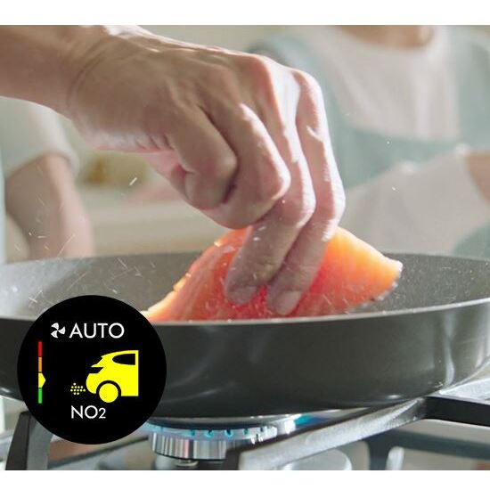 Absoarbe cu 50% mai mult NO₂