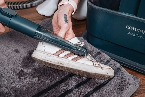 Bureți pentru încălțăminte