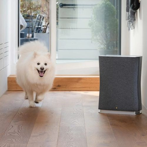 Purificator de aer puternic