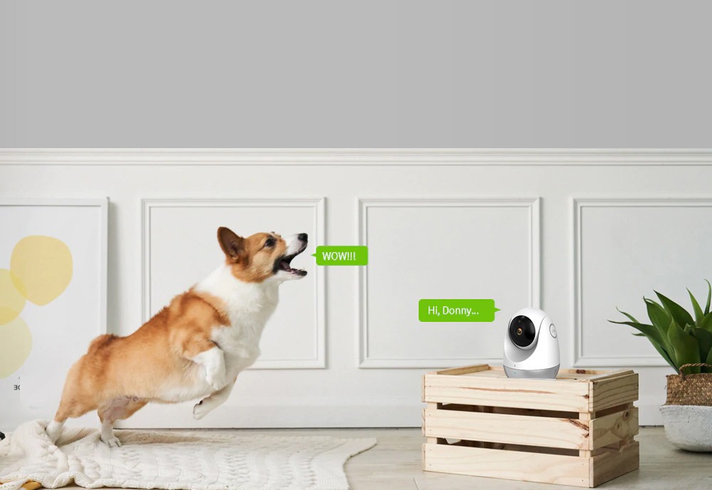 Comunicare bidirecțională