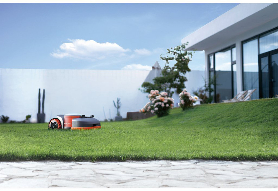 Algoritm inteligent pentru o tundere optimă