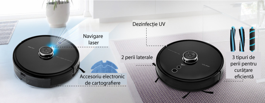 Maestru al curățeniei