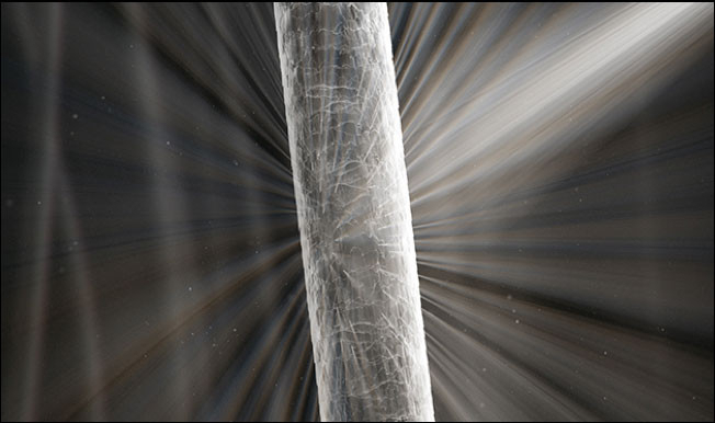 Părul sănătos reflectă lumina