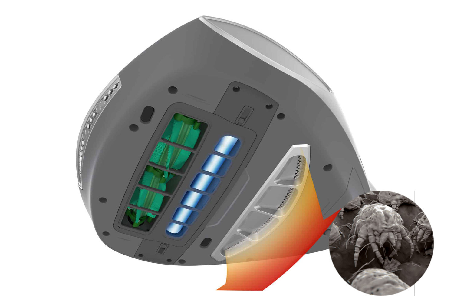 Specialist în somn curat și sănătos