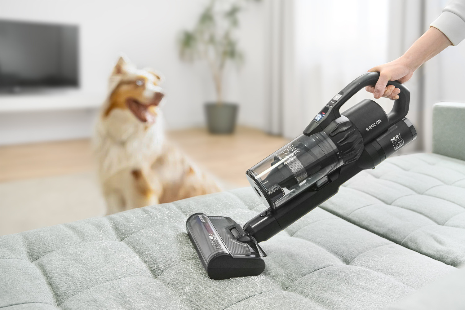 Aspirarea perfectă a firelor de păr