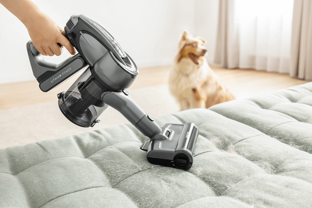 Animal de companie în gospodărie? Nici-o problemă pentru mine!