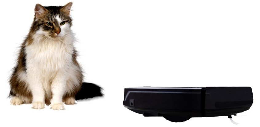 Mic, îndemânatic, precis