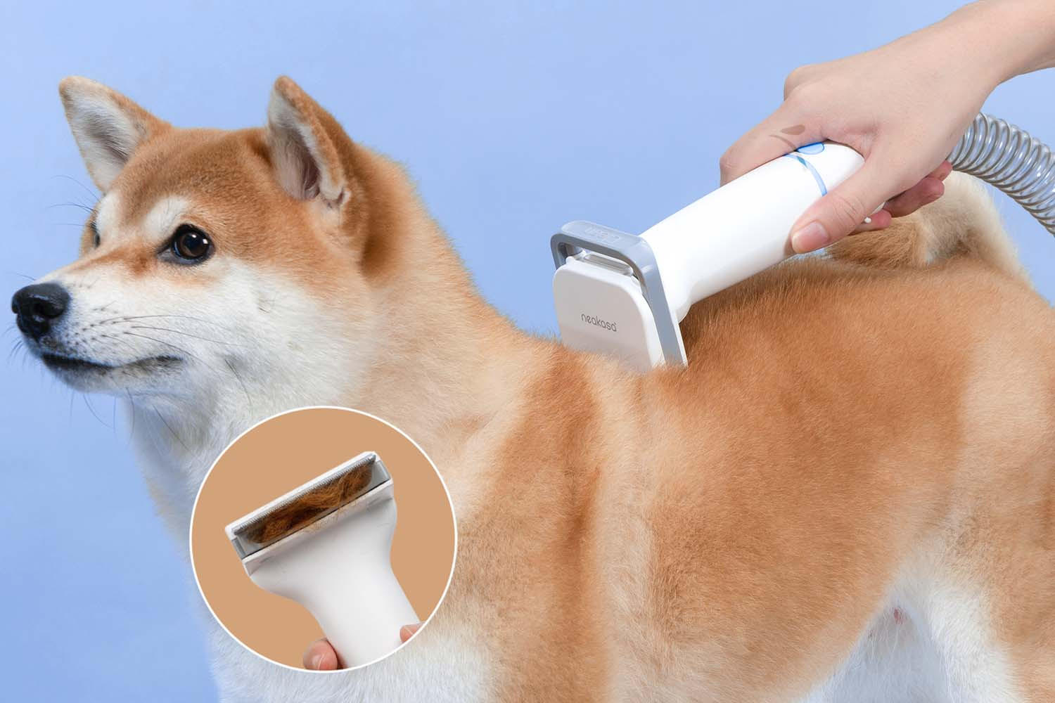 Piepten de tuns DeShedding