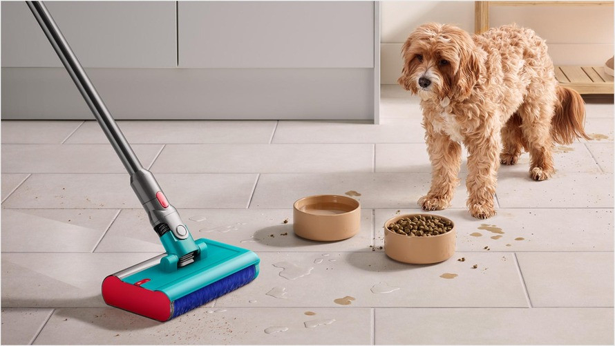 Mizerie pentru animale de companie